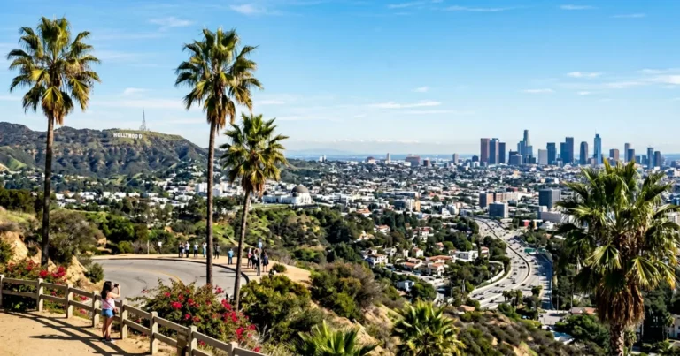 los angeles travel guide skyline palm trees.webp